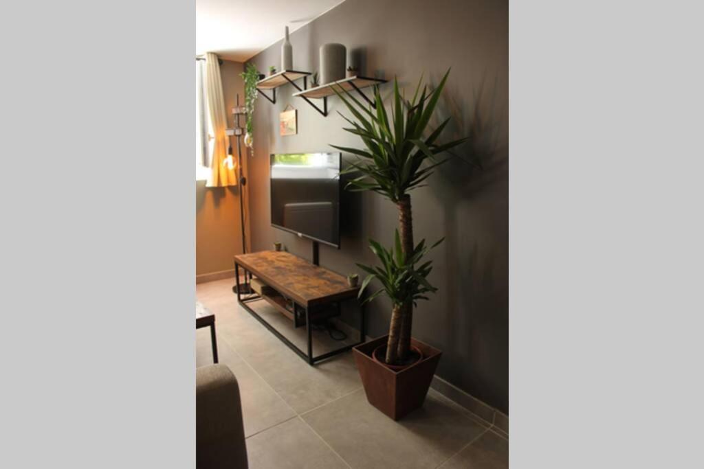 Apartment Avec Vue Sur La Sorgue *